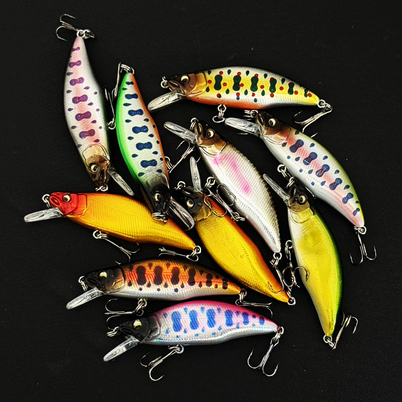 ชุดเหยื่อตกปลาแบบมินโนว์ 10 ชิ - Fishing Equipment In Japanese บทวิจารณ์และราคา